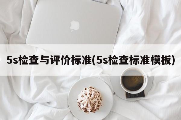 5s检查与评价标准(5s检查标准模板)